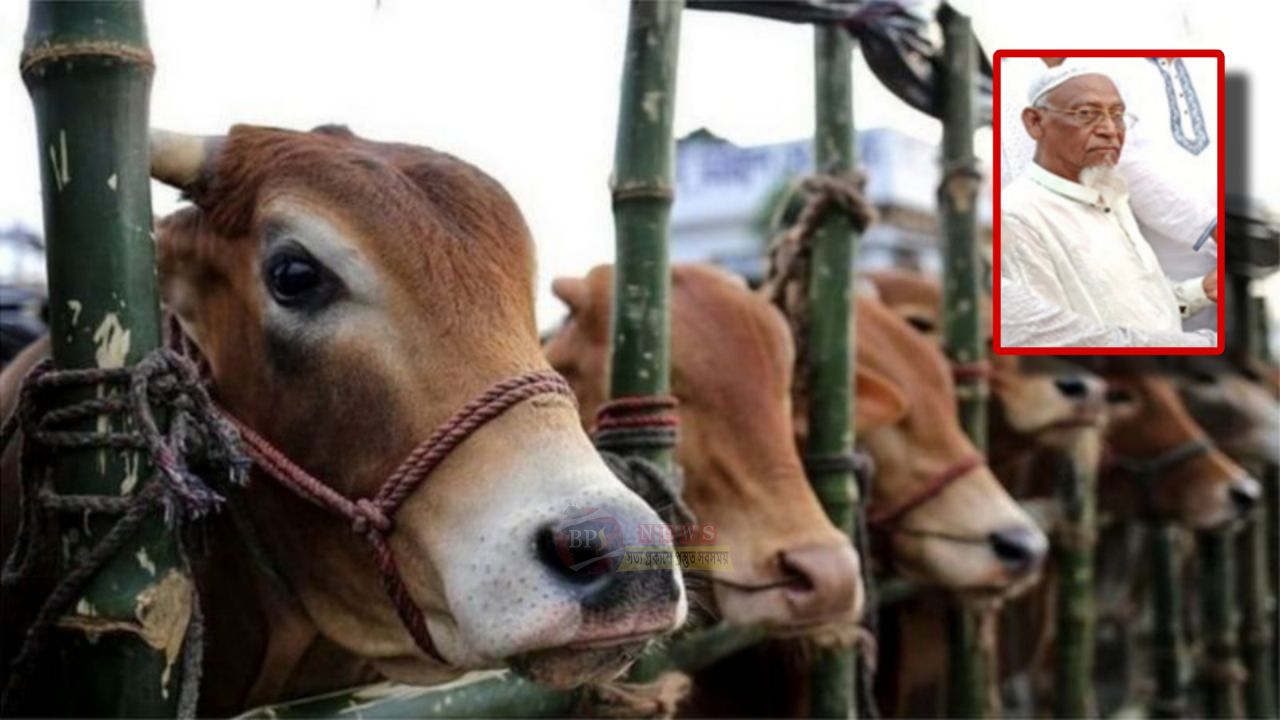 ডিক্রিরচর খেয়াঘাটসংলগ্ন বালুর মাঠের পশুর হাটের ইজারা পেলেন আব্দুর রহমান
