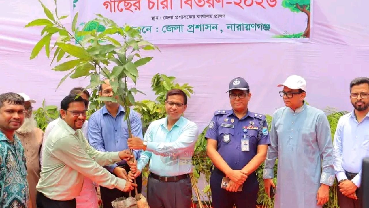 সবুজ নারায়ণগঞ্জ গড়তে জেলা প্রশাসনের বিশেষ উদ্যোগ, বিতরণ হলো হাজারো গাছের চারা