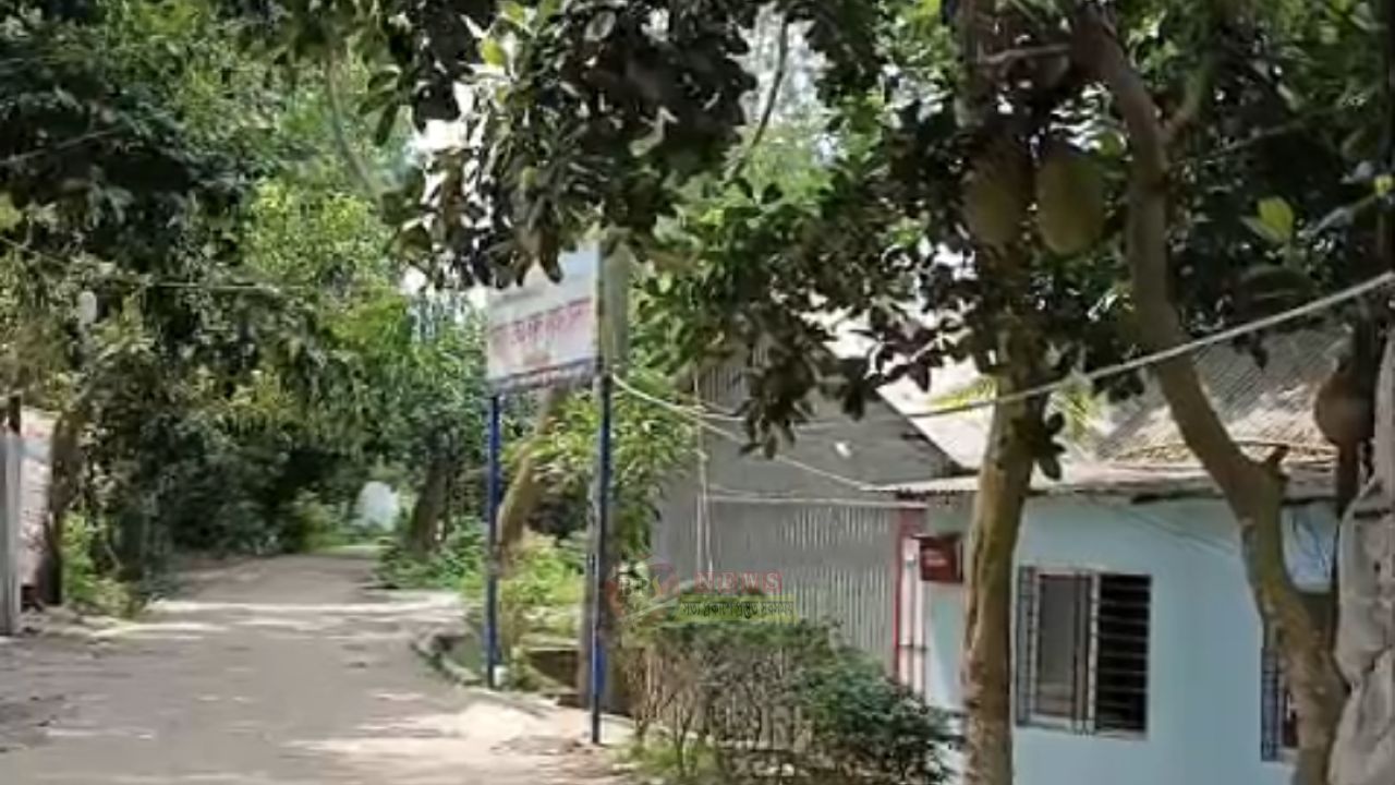 বক্তাবলীর চর বয়রাগাদীতে মাদরাসার সড়কের লাইটের তার চুরি