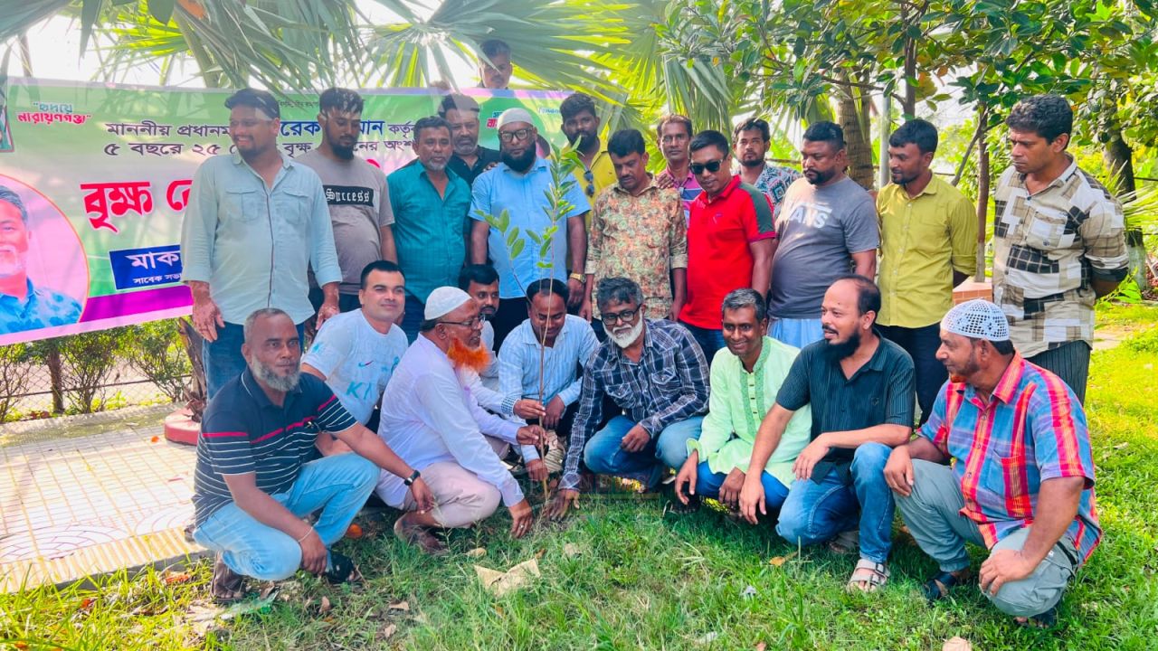 সাবেক যুবদল নেতাকর্মীদের বৃক্ষ রোপন কর্মসূচি অব্যাহত