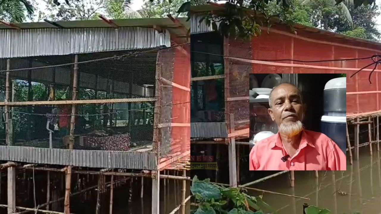 বন্দরে পৈতৃক ভিটা দখল ও মুরগির ফার্ম ভাংচুর, নারীদের মারধরের অভিযোগ