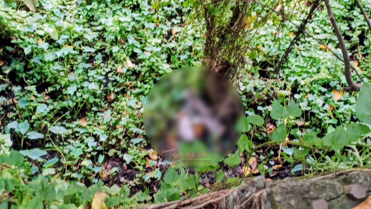 সোনারগাঁয়ে ডোবা থেকে ব্যবসায়ীর বস্তাবন্দী ম/রদেহ উদ্ধার, এলাকায় আতঙ্ক