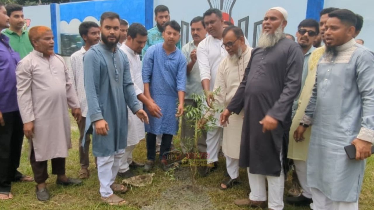 ফতুল্লা ৮ নং ওয়ার্ড যুবদলের উদ্যোগে হাজীগঞ্জে বৃক্ষরোপন কর্মসূচি