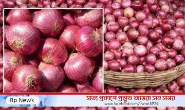 পেঁয়াজের কেজি ১৪ টাকা