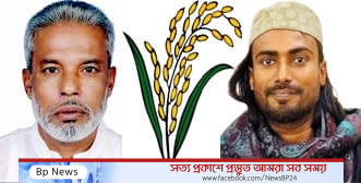 নারায়ণগঞ্জ-৩ আসনে ধানের শীষের প্রার্থীকে বিজয়ী করতে ছাত্রদল নেতা হাবিবের আহ্বান