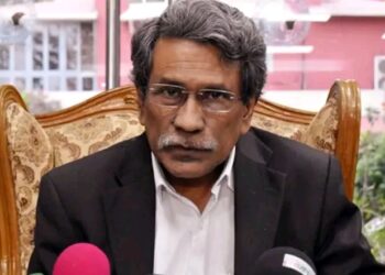 অন্তর্বর্তী সরকার গণভোটে ‘হ্যাঁ’ ভোটের পক্ষে প্রচার করতে পারবে: আলী রীয়াজ